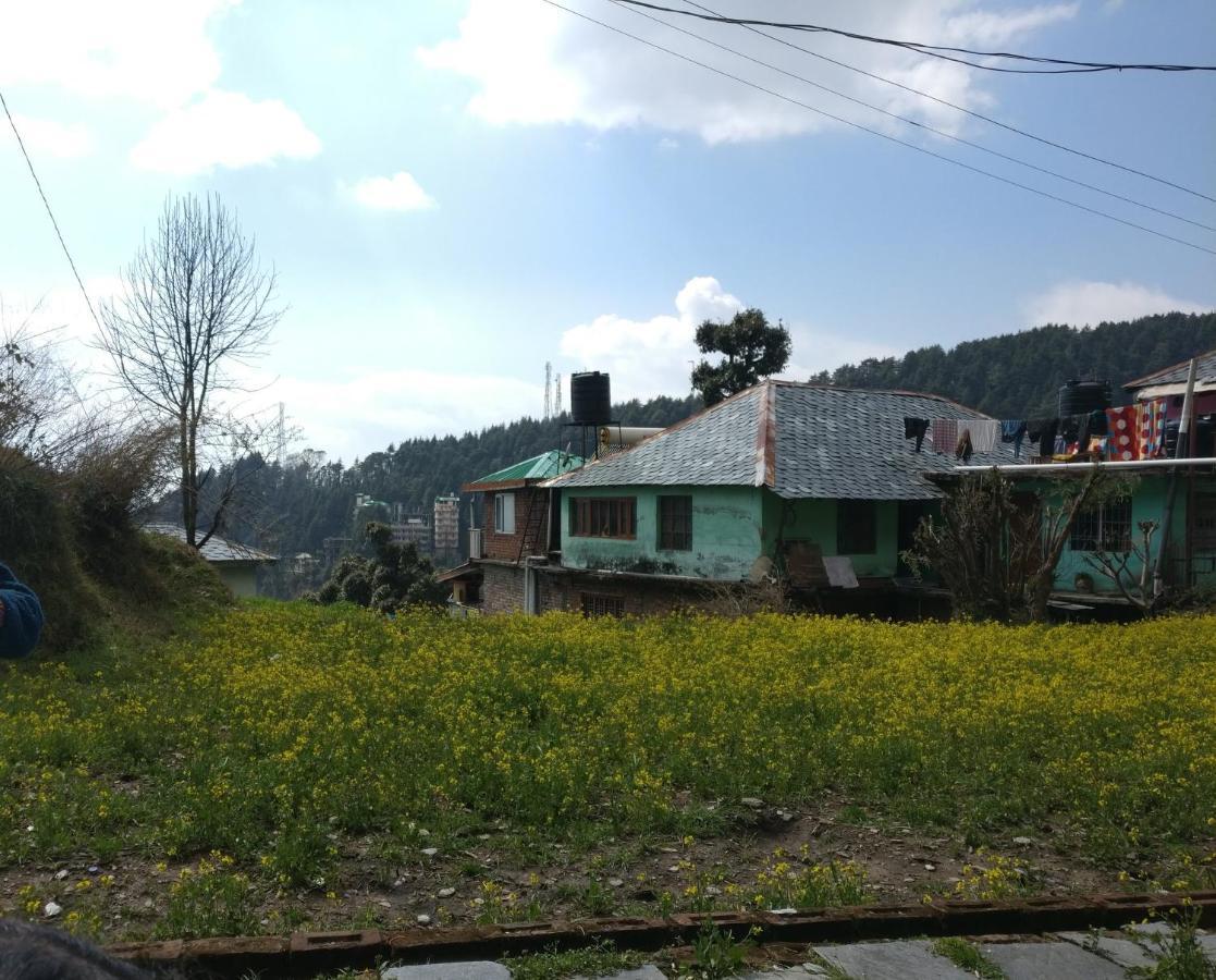 White Rabbit Guest House 达兰萨拉 外观 照片