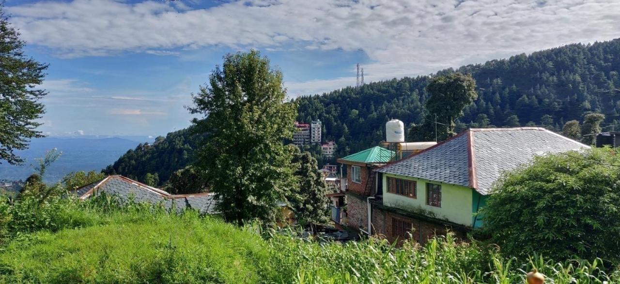 White Rabbit Guest House 达兰萨拉 外观 照片
